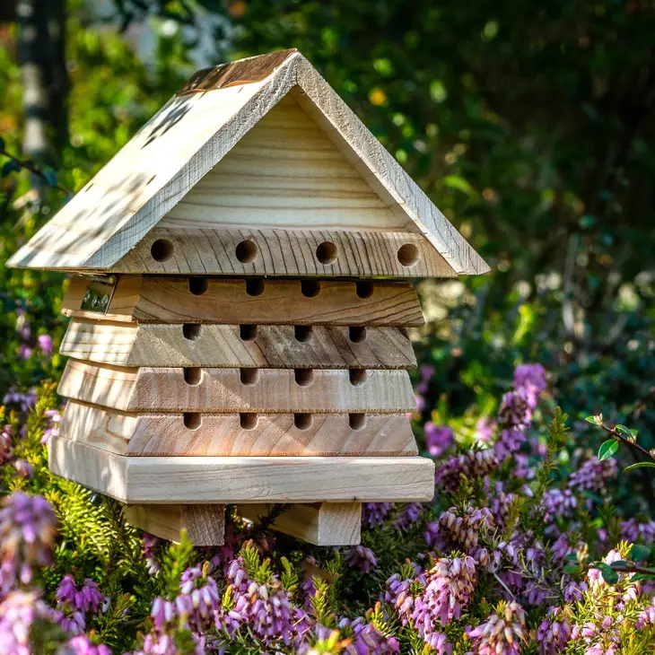 Interactive Solitary Bee Hive