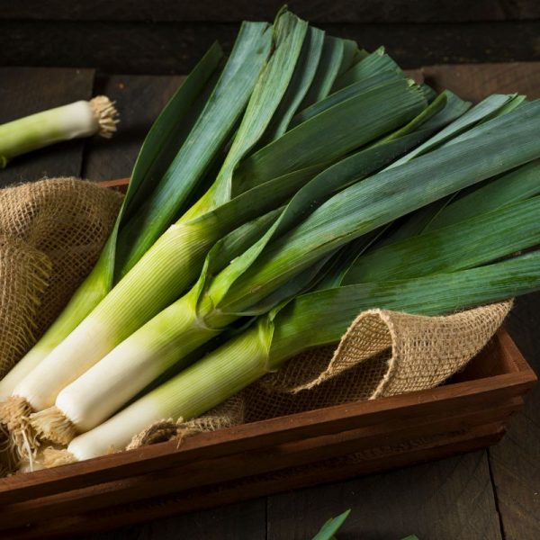 Leek