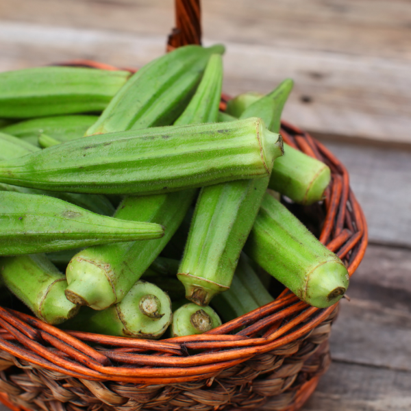 okra fresh