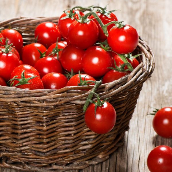 baby tomatos